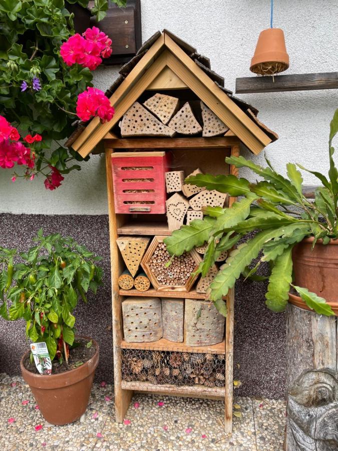 Ferienwohnung Sonnschein Bad Mitterndorf Eksteriør bilde