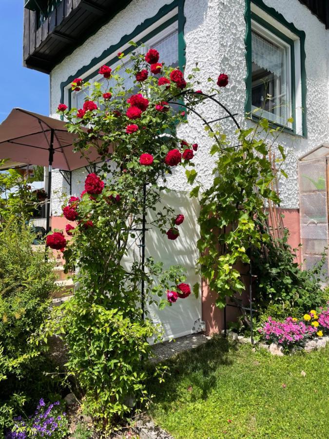 Ferienwohnung Sonnschein Bad Mitterndorf Eksteriør bilde